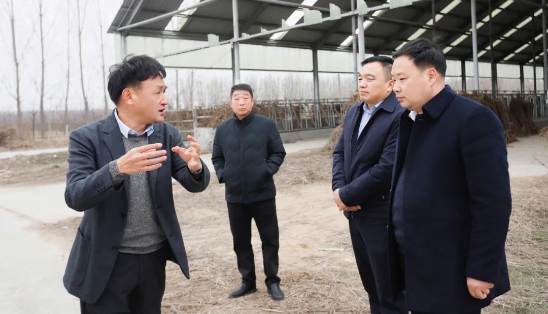 發(fā)揮產(chǎn)業(yè)優(yōu)勢(shì) 助力鄉(xiāng)村振興 | 民權(quán)縣委副書記、縣長(zhǎng)王靜嫻會(huì)見(jiàn)關(guān)曉彥董事長(zhǎng)一行