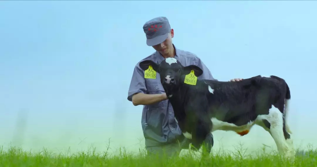 河南省人大常委會(huì)黨組書記、副主任孔昌生蒞臨花花牛魯山瑞亞牧場(chǎng)參觀調(diào)研
