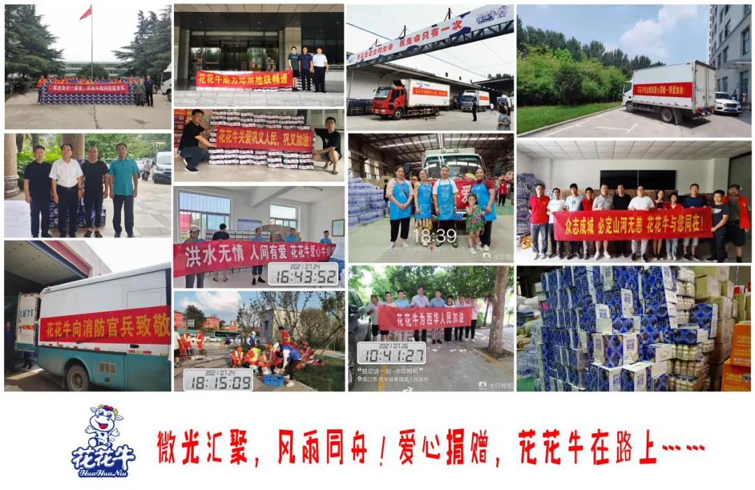 【乳報·聚焦】“豫”難而上的中原牛人“太中了”！