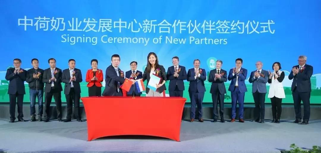 SDDDC走進河南，看看花花牛的國際范兒！