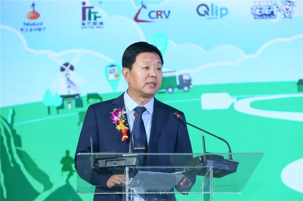 SDDDC走進河南，看看花花牛的國際范兒！