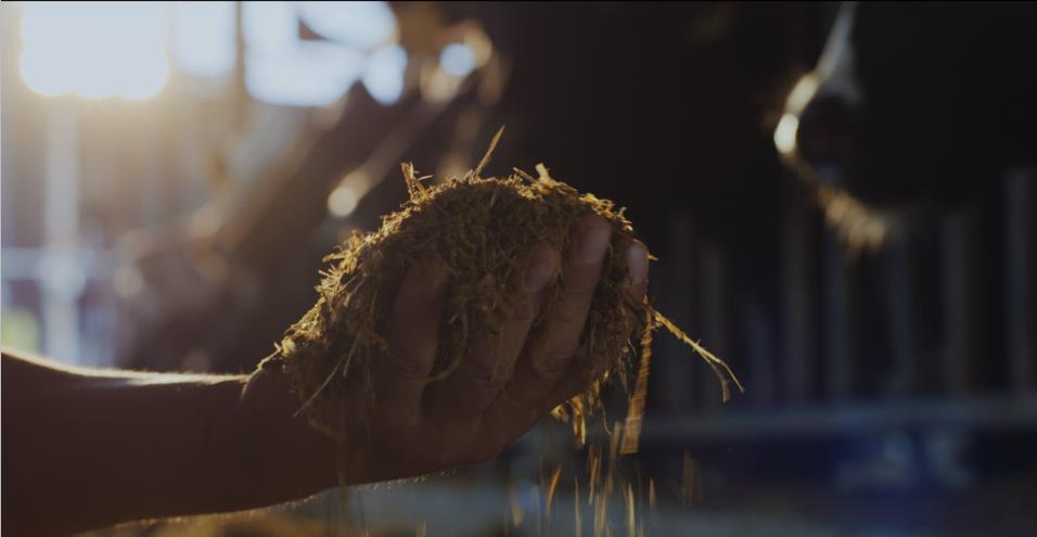 又雙叒叕獲獎(jiǎng)啦！花花牛榮獲“乳品質(zhì)量安全管理 優(yōu)秀企業(yè)”