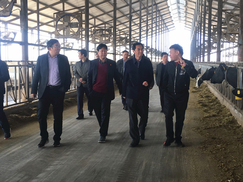 封丘縣縣長(zhǎng)王獻(xiàn)臣一行蒞臨 花花牛集團(tuán)養(yǎng)殖、乳品事業(yè)部參觀調(diào)研
