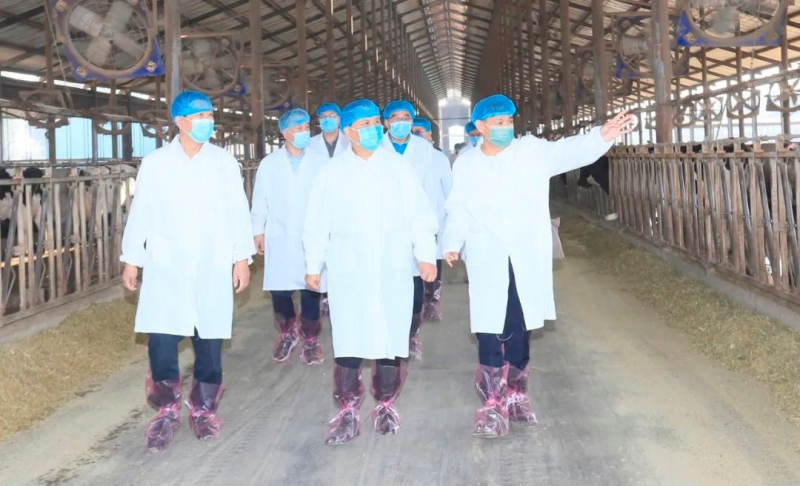 快訊丨河南省人民政府副省長武國定蒞臨花花牛乳業(yè)集團瑞亞牧業(yè)調研奶源基地建設情況