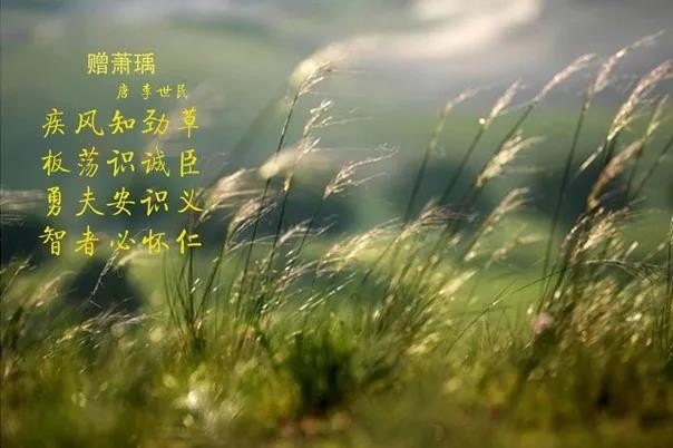 花花牛 | 疾風(fēng)來臨，你是不是勁草？
