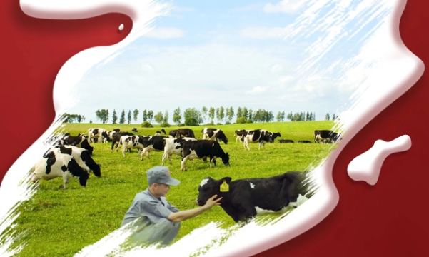 喜報(bào)！花花牛董事長(zhǎng)關(guān)曉彥再獲”優(yōu) 秀企業(yè)家”稱(chēng)號(hào)